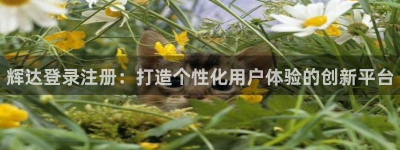 摩登7平台app下载安装：辉达登录注册：打造个性化用户体验的创新平台