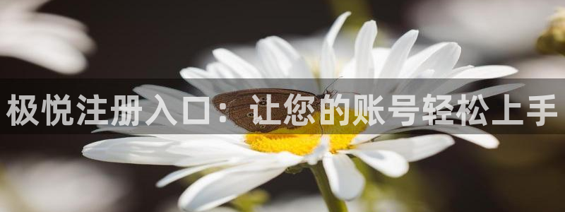 壹号大舞台怎么下载：极悦注册入口：让您的账号轻松上手