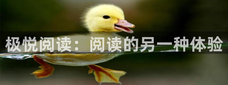 摩登7充值怎么退款：极悦阅读：阅读的另一种体验