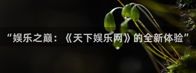 摩登7下载地址：“娱乐之巅：《天下娱乐网》的全新体验”