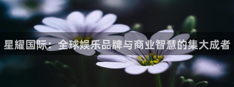 摩登7娱乐：星耀国际：全球娱乐品牌与商业智慧的集大成者