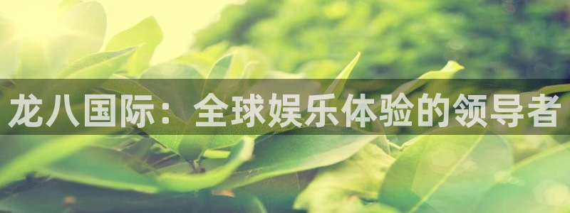 摩登7.com：龙八国际：全球娱乐体验的领导者