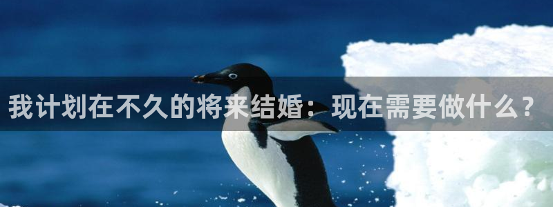摩登7app官网下载苹果：我计划在不久的将来结婚：现在需要做什么？