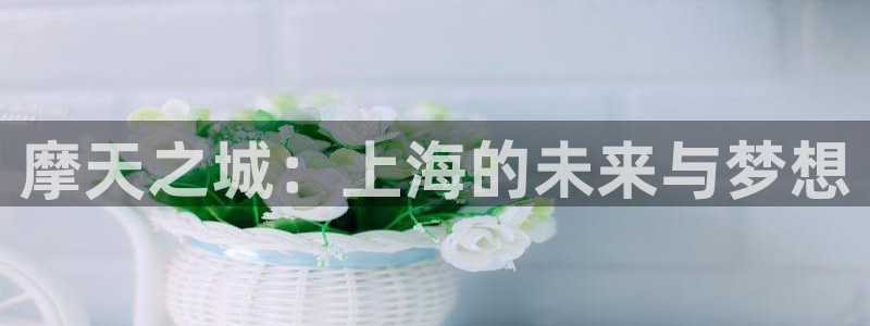 摩登7注册入口：摩天之城：上海的未来与梦想