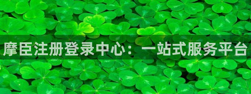 摩登7com：摩臣注册登录中心：一站式服务平台
