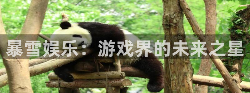 摩登7注册网站链接：暴雪娱乐：游戏界的未来之星