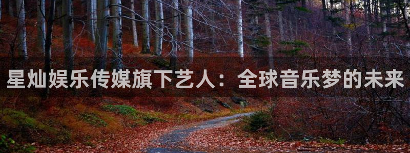 摩登7官网地址：星灿娱乐传媒旗下艺人：全球音乐梦的未来