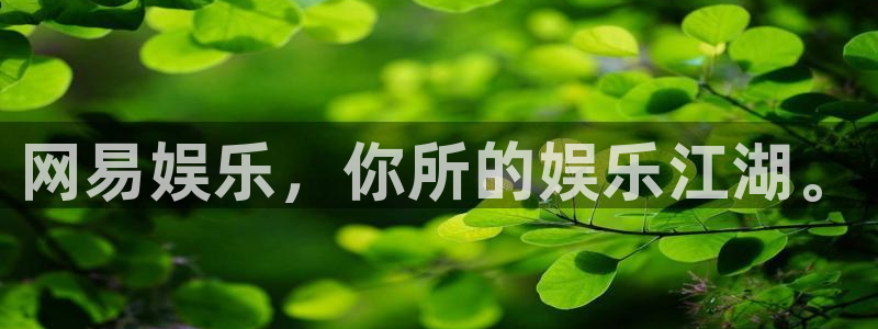 摩登7在线预测：网易娱乐，你所的娱乐江湖。