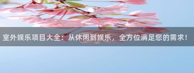 壹号大舞台怎么注册：室外娱乐项目大全：从休闲到娱乐，全方位满足您的需求！