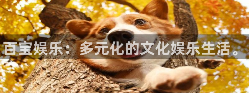 摩登7平台下载入口