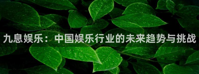 摩登7.com：九息娱乐：中国娱乐行业的未来趋势与挑战
