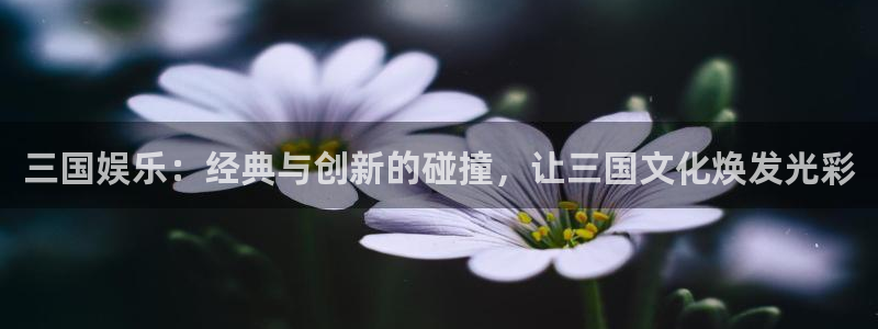 壹号大舞台下载链接：三国娱乐：经典与创新的碰撞，让三国文化焕发光彩