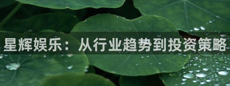 摩登7注册官网入口