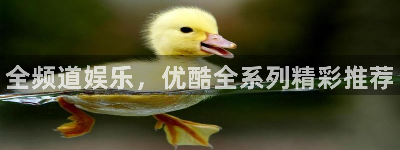 摩登7的平台：全频道娱乐，优酷全系列精彩推荐