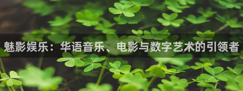 摩登7 - ng大舞台,有梦你就来：魅影娱乐：华语音乐、电影与数字艺术的引领者