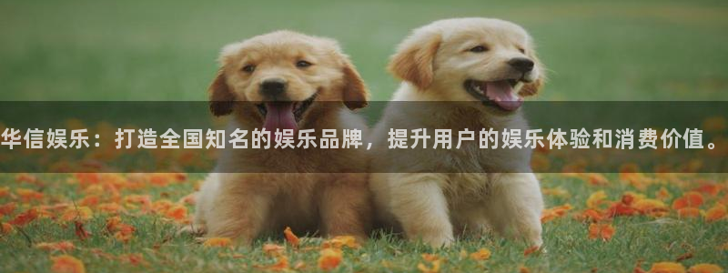 摩登7免费注册：华信娱乐：打造全国知名的娱乐品牌，提升用户的娱乐体验和消费价值。