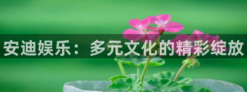 摩登7加拿大下载：安迪娱乐：多元文化的精彩绽放