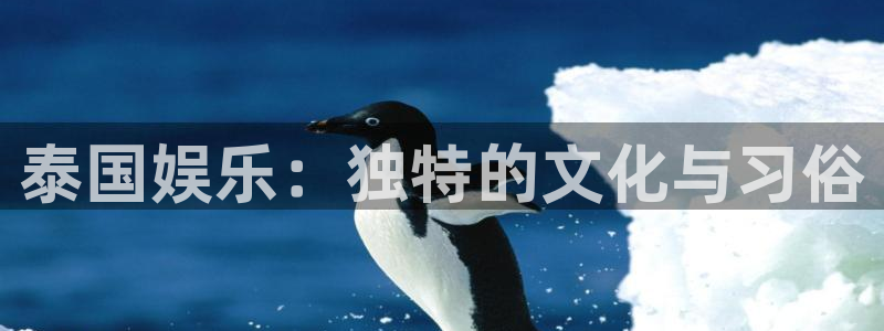 壹号大舞台网站：泰国娱乐：独特的文化与习俗
