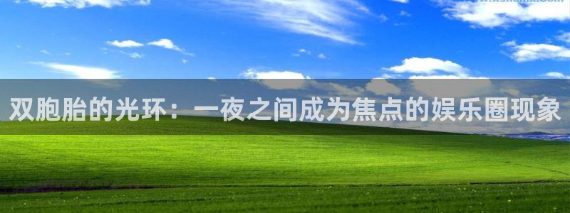 南宫摩登7官网版：双胞胎的光环：一夜之间成为焦点的娱乐圈现象