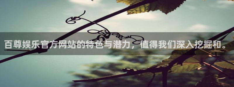 摩登7网站：百尊娱乐官方网站的特色与潜力，值得我们深入挖掘和。