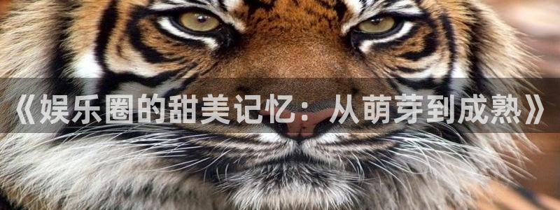 摩登7在线下载：《娱乐圈的甜美记忆：从萌芽到成熟》