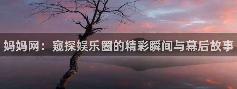 壹号大舞台娱乐app下载安装：妈妈网：窥探娱乐圈的精彩瞬间与幕后故事
