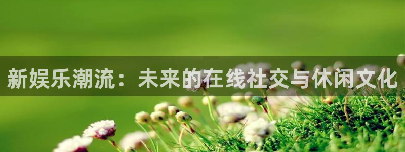 摩登7能退款吗：新娱乐潮流：未来的在线社交与休闲文化