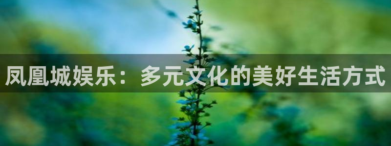 摩登7平台官网版最新：凤凰城娱乐：多元文化的美好生活方式