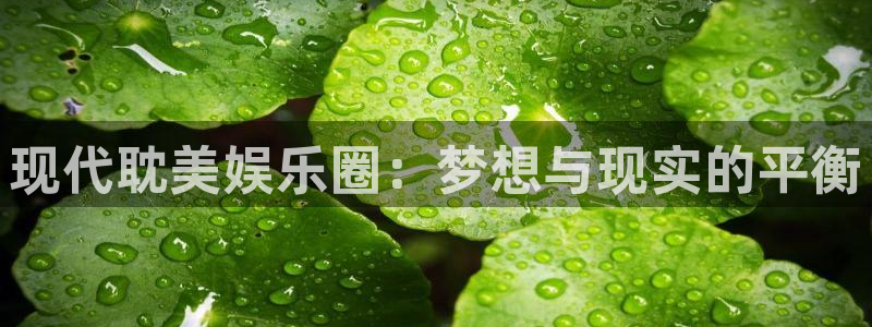 壹号大舞台入口：现代耽美娱乐圈：梦想与现实的平衡