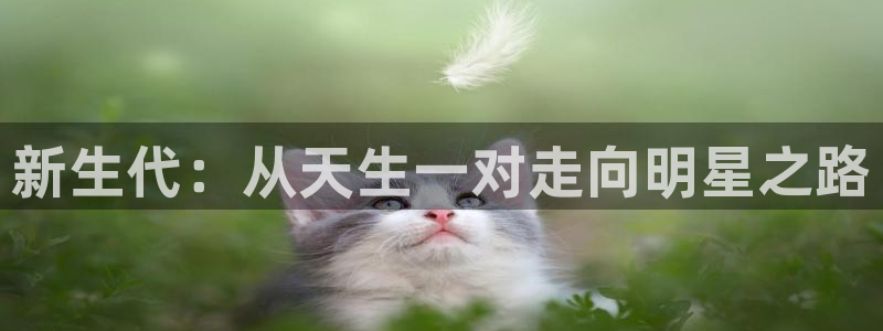 壹号大舞台28国际大舞台：新生代：从天生一对走向明星之路