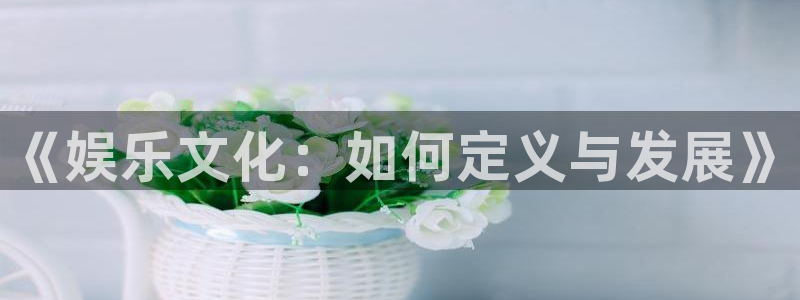摩登7注册网站链接：《娱乐文化：如何定义与发展》
