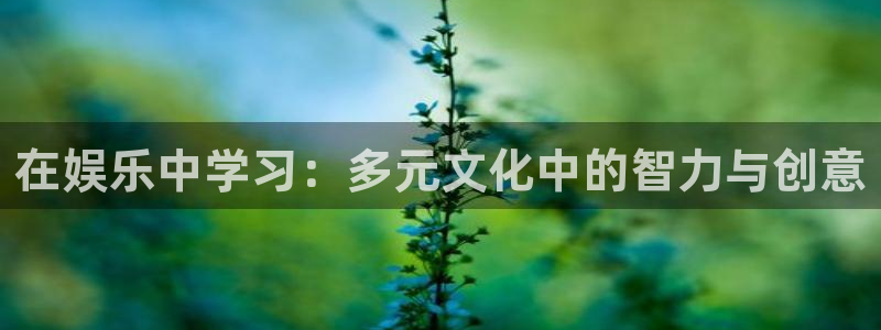 摩登7手机客户端下载安装：在娱乐中学习：多元文化中的智力与创意
